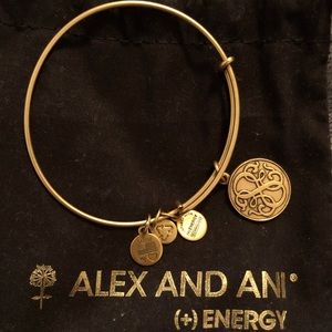 Alex and Ani Gold Charm Bracelet